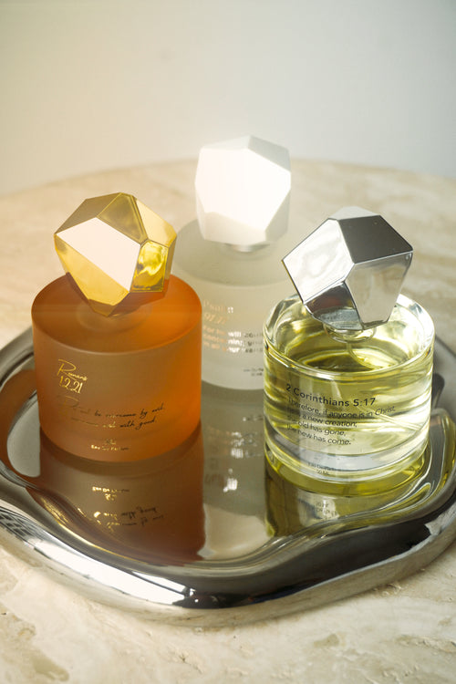 Creation Collection Bundle